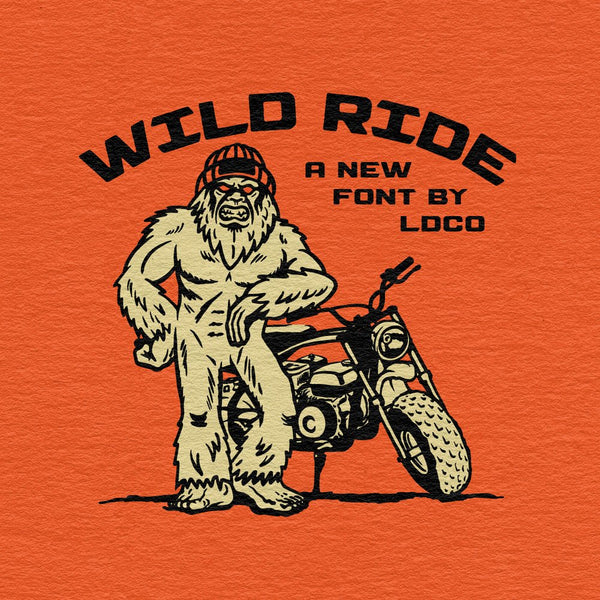 Wild Ride Font